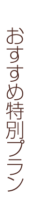ߓʃv